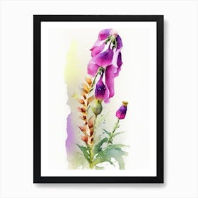 Foxglove Wildflower Watercolour 2 Art Print