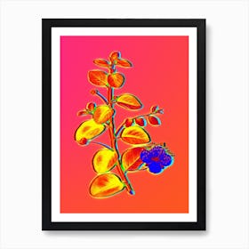 Neon Caper Plant Botanical in Hot Pink and Electric Blue n.0280 Art Print