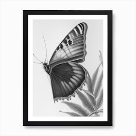 Black Swallowtail Butterfly Greyscale Sketch 1 Art Print