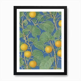 Ugli Fruit Vintage Botanical Fruit Art Print