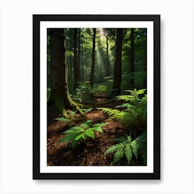 Ferns In The Forest 4 Art Print