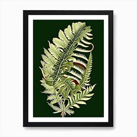 Ribbon Fern Vintage Botanical Poster Art Print