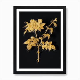 Vintage White Flowered Rose Botanical in Gold on Black n.0024 Art Print