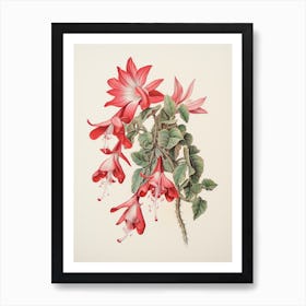 Vintage Cactus Illustration Christmas Cactus Art Print