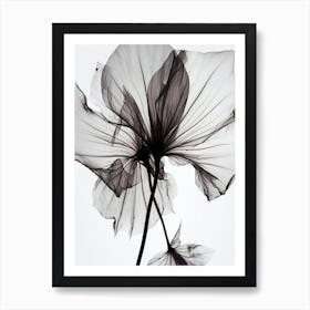 Black And White Flower Silhouette Art Print