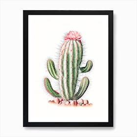 Rebutia Cactus Marker Art 2 Art Print