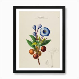 Blue Flowers Art Print