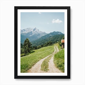 Pathway In The Alps Art Print