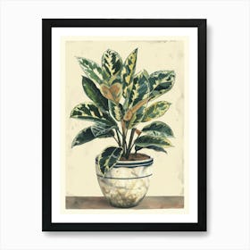 Plant In A Pot 14 Art Print