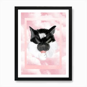 Kitty Snoozes - with a very handsome black and white cat Art Print