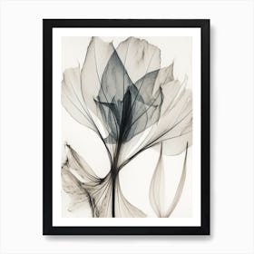 Black White Image Flower With Wh1 Art Print
