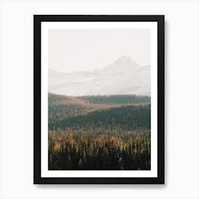 Rolling Forest Hills Art Print