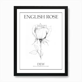 English Rose Dew Line Drawing 2 Poster Art Print