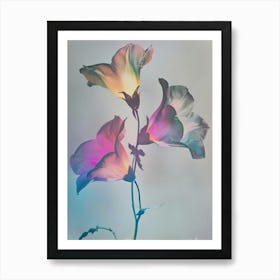 Iridescent Flower Canterbury Bells 2 Art Print