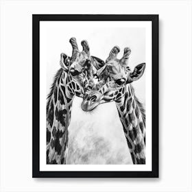 Two Giraffe Together Pencil Drawing 3 Art Print