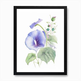 Morning Glory Floral Quentin Blake Inspired Illustration 4 Flower Art Print