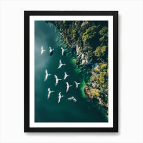 Pelicans Flying Over A Lake Art Print