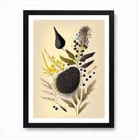 Black Mustard Seeds Spices And Herbs Retro Drawing 3 Art Print
