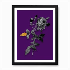 Vintage Provence Rose Black and White Gold Leaf Floral Art on Deep Violet Art Print