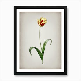 Vintage Didier's Tulip Botanical on Parchment n.0753 Art Print