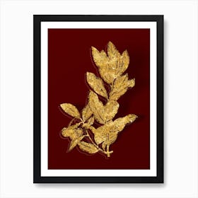 Vintage Strawberry Tree Branch Botanical in Gold on Red n.0096 Art Print