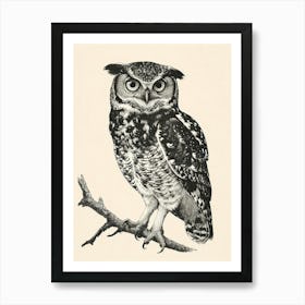 Spectacled Owl Vintage Illustration 1 Art Print