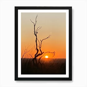 Sunset In Perth Art Print