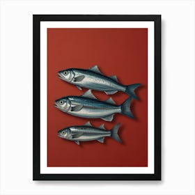 Three Fish On A Red Background Art Print