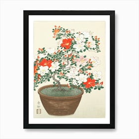 Blooming Azalea In Brown Pot (1920 1930), Ohara Koson Art Print