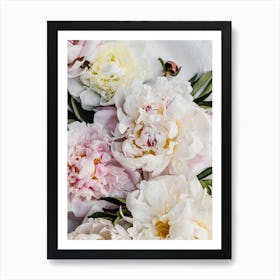 White Peonies Art Print