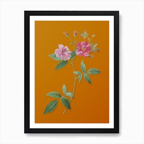 Vintage Hudson Rosehip Botanical on Sunset Orange n.0119 Art Print