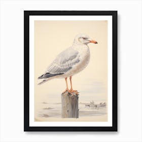 Vintage Bird Drawing Seagull 1 Art Print