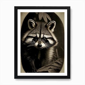 Honduran Raccoon Portrait Vintage Photography 2 Art Print