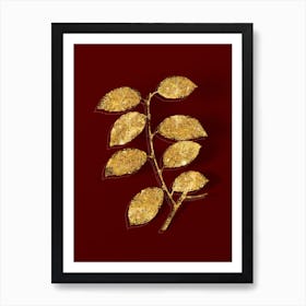 Vintage Eared Willow Botanical in Gold on Red n.0084 Art Print