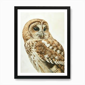 Tawny Owl Marker Drawing 2 Art Print