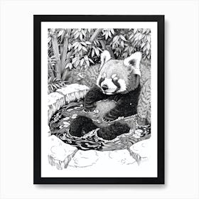 Red Panda Relaxing In A Hot Spring Ink Illustration 3 Art Print