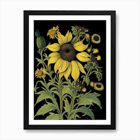 Rudbeckia 2 Floral Botanical Vintage Poster Flower Art Print