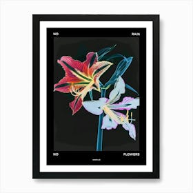 No Rain No Flowers Poster Amaryllis 3 Art Print