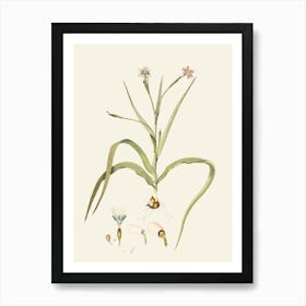 Lily Of The Valley 37 Art Print