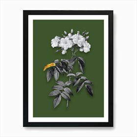 Vintage Musk Rose Black and White Gold Leaf Floral Art on Olive Green n.0036 Art Print