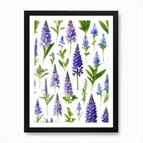 Nature Pattern Isolate White Arrangement Purple Flat Floral Blue Natural Herbal Medicine (14) Art Print