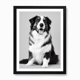 Australian Shepherd B&W Pencil Dog Art Print