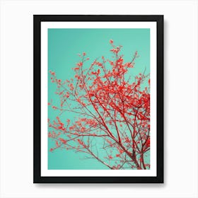 Red Tree Against Blue Sky 6 Art Print