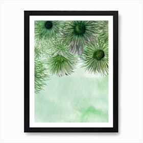 Giant Plumose Anemone II Storybook Watercolour Art Print