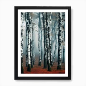 Birch Forest 90 Art Print