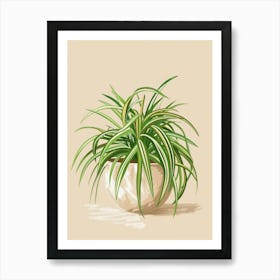 Spider Plant Minimalist Illustration 7 Art Print