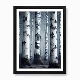 Birch Trees In The Fog 6 Poster