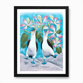 Blue-footed Boobies: Galapagos Seabirds Art Print