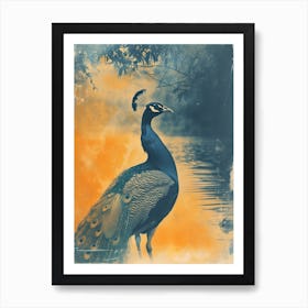 Orange & Blue Vintage Peacock In The Water 2 Art Print