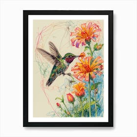 Hummingbird Drawing Art Print